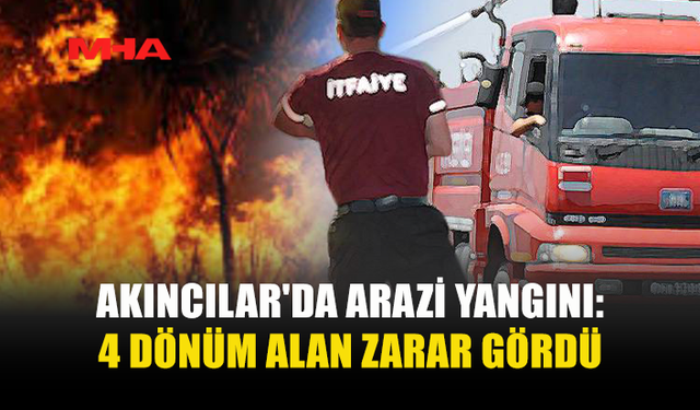 AKINCILAR'DA ÇIKAN YANGINDA NAR VE ZEYTİN AĞAÇLARI YANDI