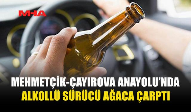 MEHMETÇİK-ÇAYIROVA ANAYOLU’NDA ALKOLLÜ SÜRÜCÜ KAZAYA NEDEN OLDU