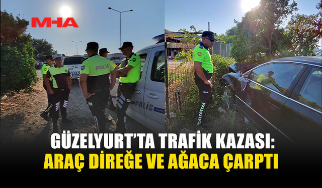 DİREKSİYON HAKİMİYETİNİ KAYBETTİ, DİREĞE VE AĞACA ÇARPTI