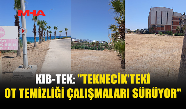 KIB-TEK: TEKNECİK’TE OT TEMİZLİĞİ 29 TEMMUZ’DAN BERİ DEVAM EDİYOR