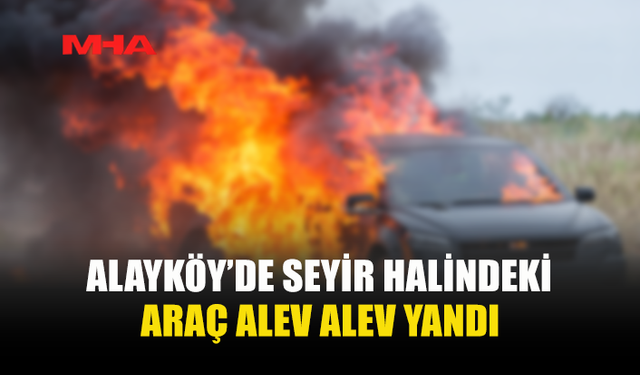 ALAYKÖY'DE SEYİR HALİNDEKİ ARAÇTA YANGIN ÇIKTI