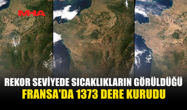 FRANSA KURAKLIKLA MÜCADELE EDİYOR: 1373 DERE KURUDU