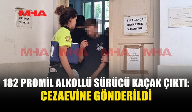 KAZA YAPTI, KAÇAK ÇIKTI: SÜRÜŞ EHLİYETİ İPTAL EDİLDİ