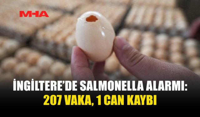 İNGİLTERE'DE SALMONELLA SALGININDA 1 KİŞİ ÖLDÜ, 207 VAKA TESPİT EDİLDİ