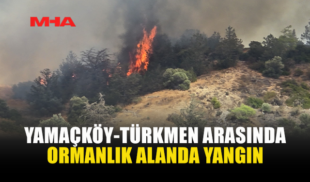 YAMAÇKÖY-TİRMEN BÖLGESİNDE YANGIN ÇIKTI