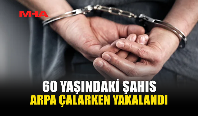 MERİÇ’TE 2 ÇUVAL ARPA ÇALDI, TUTUKLANDI