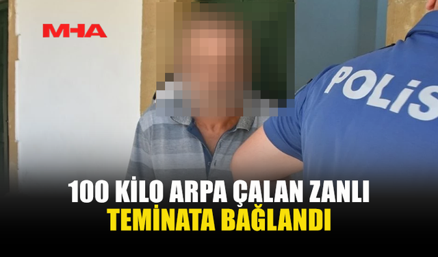 ARPA HIRSIZLIĞI ZANLISI TEMİNATA BAĞLANDI