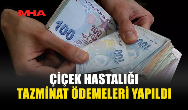 ÇİÇEK HASTALIĞINDAN ZARAR GÖREN ÜRETİCİLERE TAZMİNAT ÖDEMESİ YAPILDI