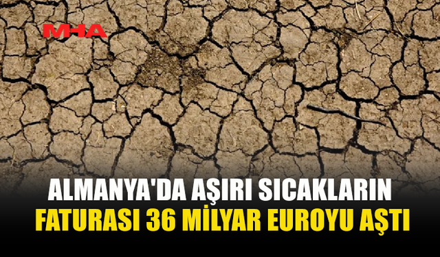 AŞIRI SICAKLAR ALMANYA EKONOMİSİNE 36 MİLYAR EUROYA MAL OLDU