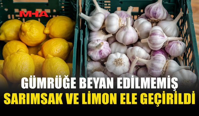 İSKELE VE ALAYKÖY’DE GÜMRÜKSÜZ ÜRÜNLARA EL KONULDU