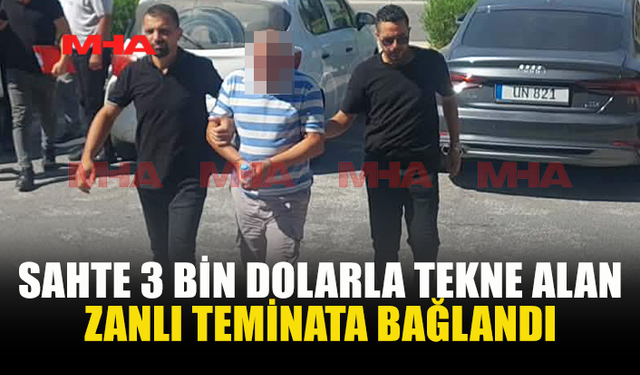 SAHTE DOLARLA TEKNE SATIN ALDI, TEMİNATA BAĞLANDI