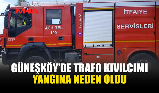 GÜNEŞKÖY’DE YANGIN: NARENCİYE VE ARMUT AĞAÇLARI ZARAR GÖRDÜ