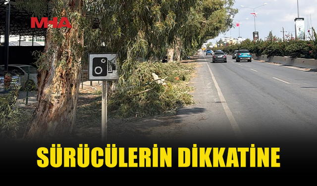 POLİS, YARIN SABAH DEMİRHAN MEVKİİNDE BUDAMA ÇALIŞMASI YAPILACAĞINI DUYURDU VE SÜRÜCÜLERİ UYARDI