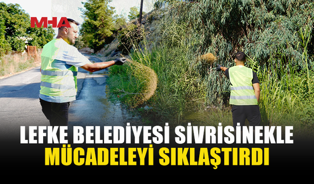 LEFKE’DE SİVRİSİNEKLE MÜCADELE ÇALIŞMALARI SIKLAŞTIRILDI