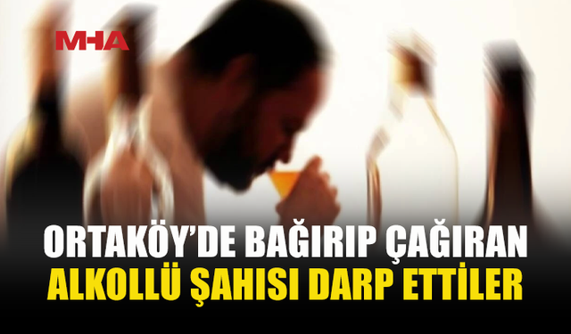 ALKOLLÜ ADAM ORTALIĞI KARIŞTIRDI, DARP EDİLDİ