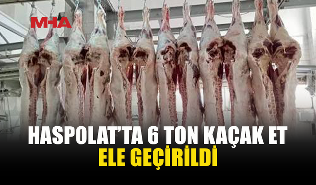 KARKAS OPERASYONU: 6 TON ET ELE GEÇİRİLDİ