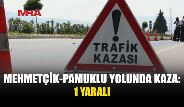 ARAÇ TARLAYA UÇTU: 1 YARALI