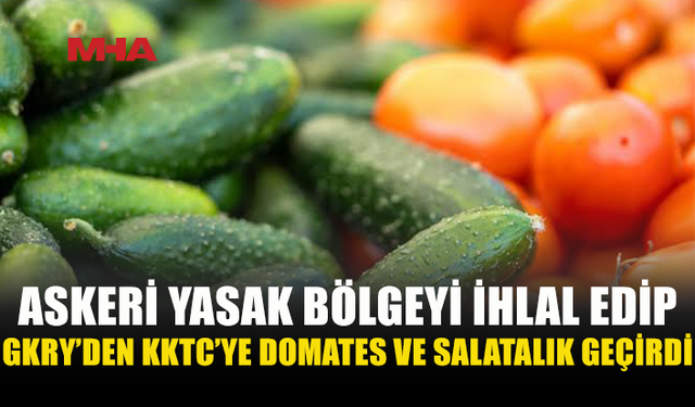 ASKERİ YASAK BÖLGEYİ İHLAL EDİP KAÇAK ÜRÜN TAŞIDI