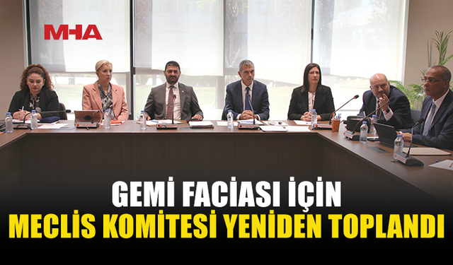 GEMİ FACİASI KOMİTESİ TANIKLARI DİNLEDİ