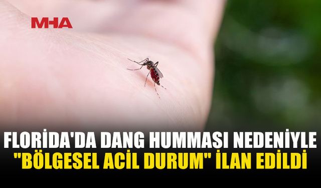 FLORİDA’DA DANG HUMMASI ALARMI