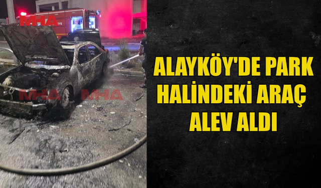 ALAYKÖY'DE PARK HALİNDEKİ ARAÇ ALEV ALEV YANDI