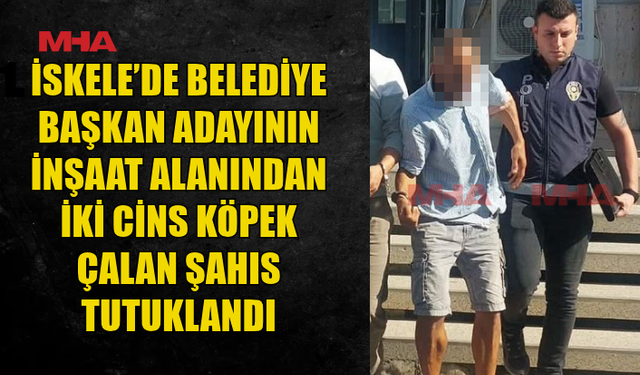 SERMET NERELİ’NİN İNŞAAT ALANINDAN İKİ CİNS KÖPEK ÇALINDI