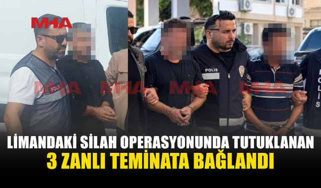 TIR DORSESİNDEN 10 TABANCA ÇIKTI, 3 ZANLI TEMİNATLA SERBEST KALDI