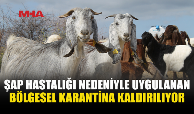 ŞAP HASTALIĞINDA BÖLGESEL KARANTİNA SONA ERDİ