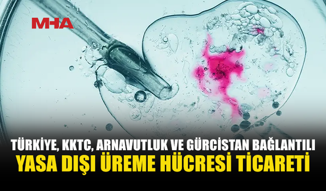 TÜRKİYE, KKTC, ARNAVUTLUK VE GÜRCİSTAN BAĞLANTILI  YASA DIŞI ÜREME HÜCRESİ TİCARETİ YAPILDIĞI TESPİT EDİLDİ