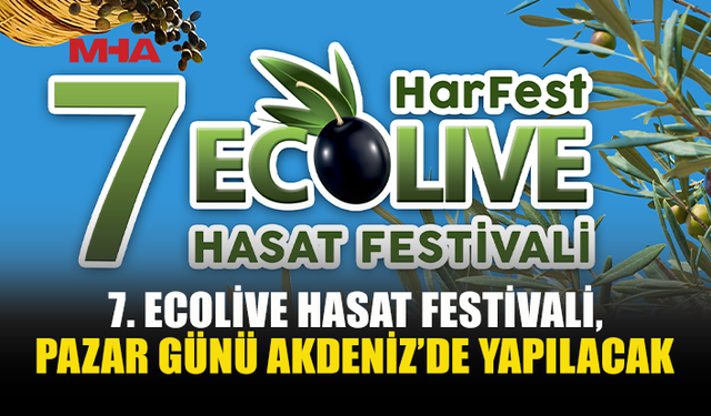 ECOLIVE HASAT FESTİVALİ PAZAR GÜNÜ YAPILACAK