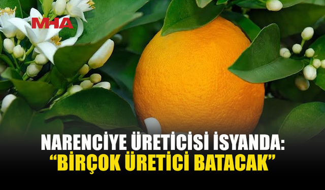 NARENCİYE ÜRETİCİSİ BEKLİYOR: ÜRÜN PARALARI HÂLÂ ÖDENMEDİ