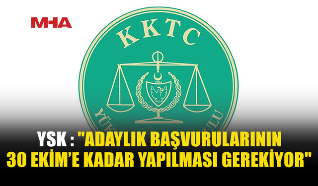 YSK ADAYLIK ŞARTLARINI HATIRLATTI