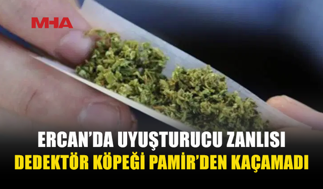 ERCAN'DA DEDEKTÖR KÖPEĞİ PAMİR’İN DİKKATİ 2 GRAM UY*ŞTURUCUYU ORTAYA ÇIKARDI
