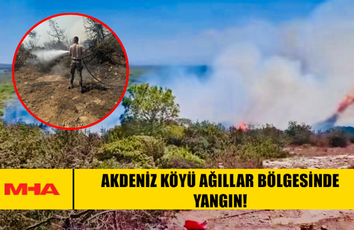AKDENİZ KÖYÜ AĞILLAR BÖLGESİNDE YANGIN!