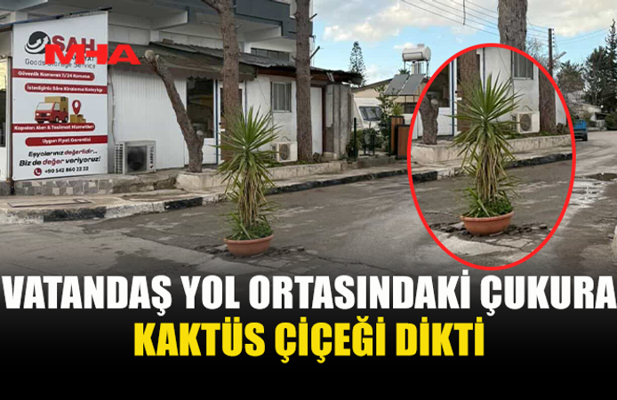 VATANDAŞ YOL ORTASINDAKİ ÇUKURA KAKTÜS ÇİÇEĞİ DİKTİ