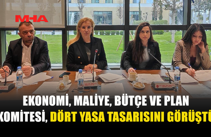 KOMİTE DÖRT YASA TASARISINI MASAYA YATIRDI
