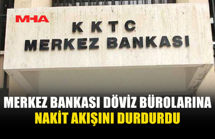 NAKDİ DÖVİZ ERİŞİMİ SADECE BANKA HESAPLARIYLA SAĞLANIYOR