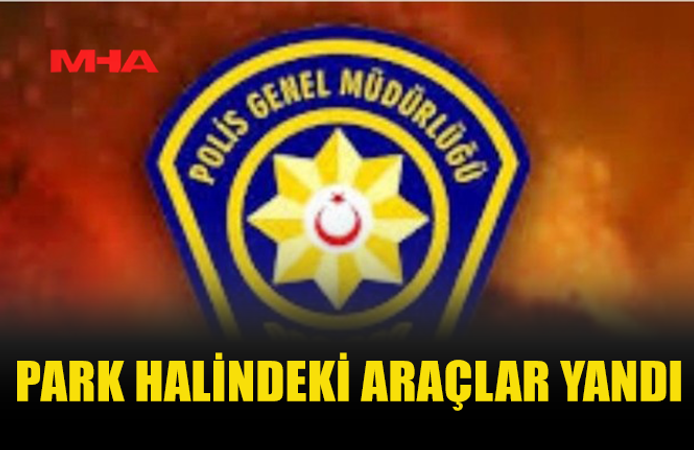 PARK HALİNDEKİ ÜÇ ARAÇ YANARAK ZARAR GÖRDÜ