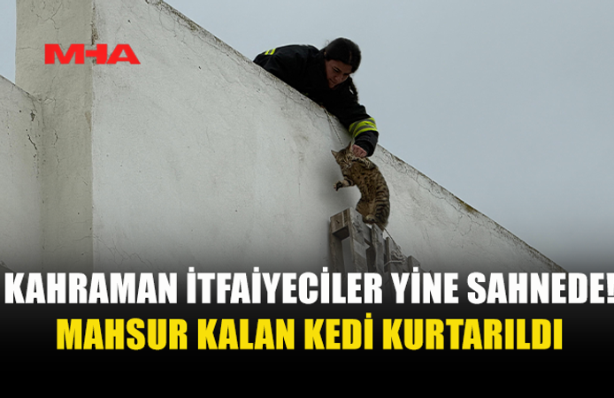 KAHRAMAN İTFAİYECİLER MAHSUR KALAN KEDİYİ KURTARDI