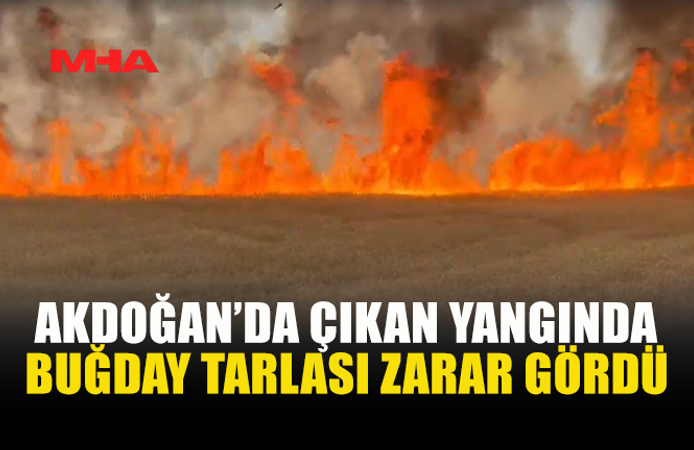 AKDOĞAN'DA BUĞDAY TARLASI ALEVLERE TESLİM OLDU