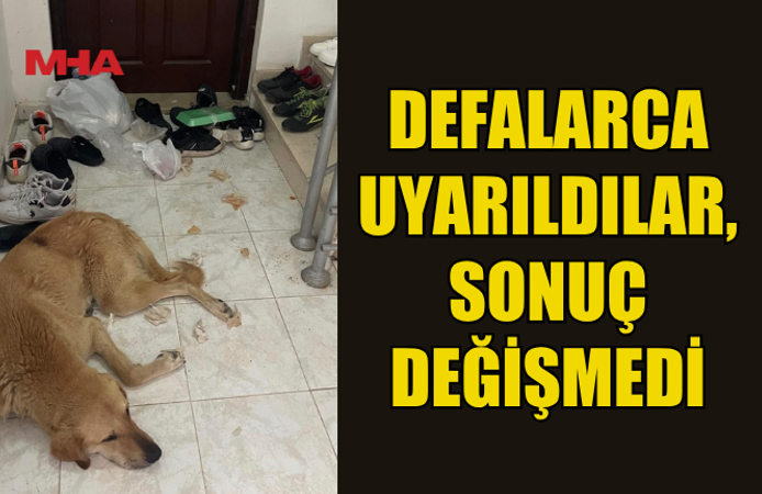 APARTMAN SAKİNLERİNİN SABRI TAŞTI