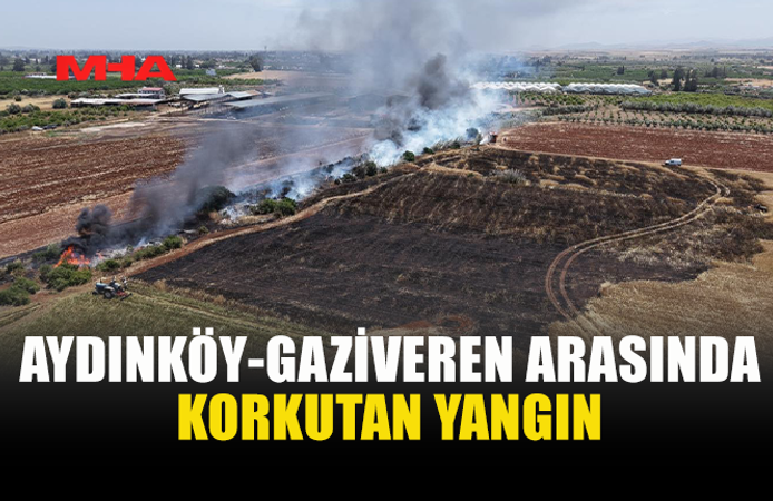 AYDINKÖY-GAZİVEREN ARASINDA YANGIN