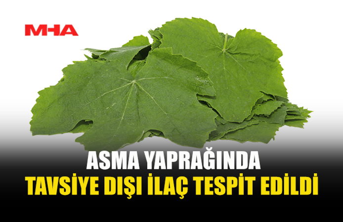 TARIM DAİRESİ GIDA DENETİM RAPORUNU AÇIKLADI
