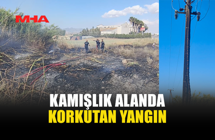 EVSU İLE HACI ALİ FABRİKASI ARASINDA KAMIŞLIK ALANDA YANGIN