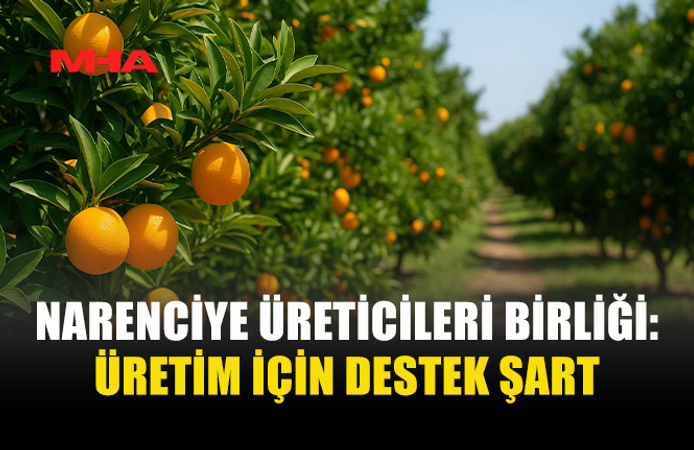 NARENCİYE ÜRETİCİLERİNDEN ÖDEME ÇAĞRISI