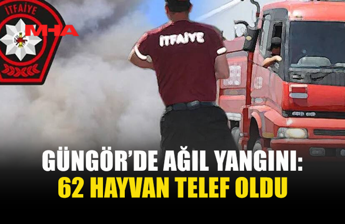 GÜNGÖR’DE YANGIN: ÇOK SAYIDA HAYVAN TELEF OLDU