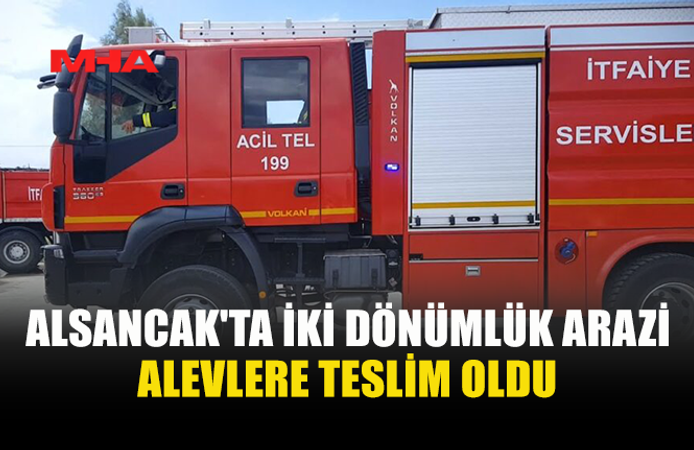 ALSANCAK'TA ELEKTRİK TELLERİ YANGIN ÇIKARDI