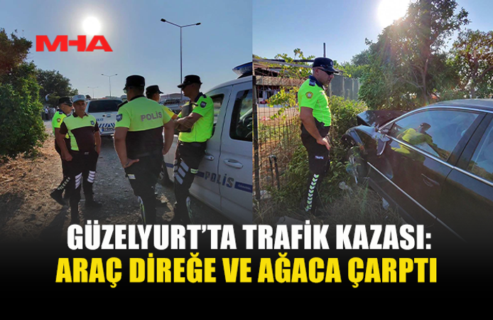 DİREKSİYON HAKİMİYETİNİ KAYBETTİ, DİREĞE VE AĞACA ÇARPTI