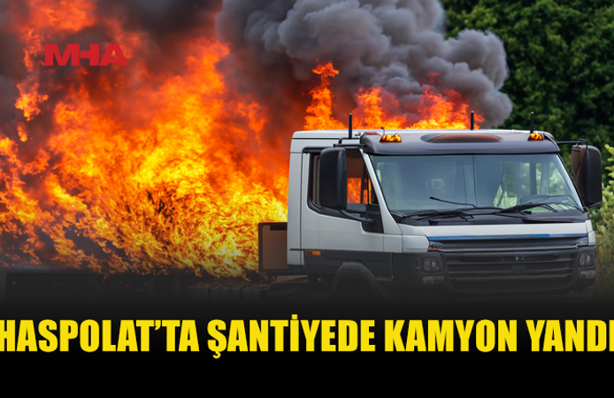 ARIZALI KAMYON ALEV ALEV YANDI