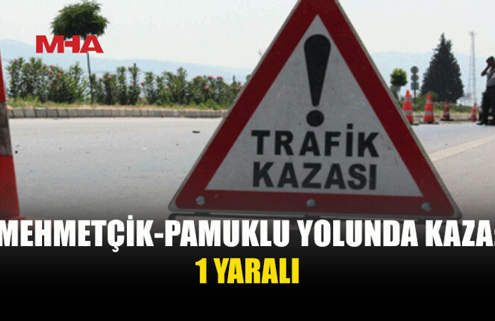 ARAÇ TARLAYA UÇTU: 1 YARALI